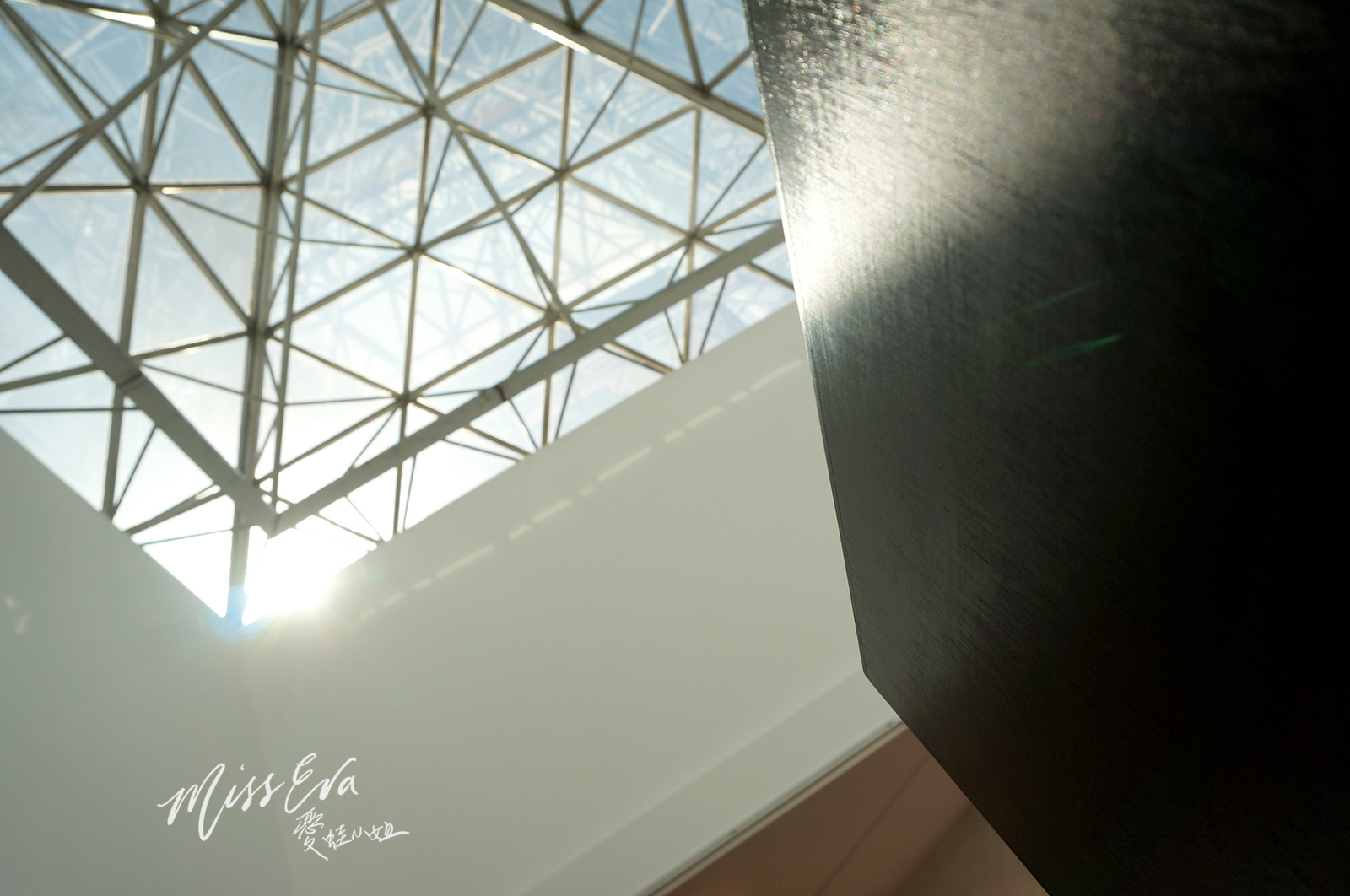 DSC02625_2.jpg DSC02625_2.jpg