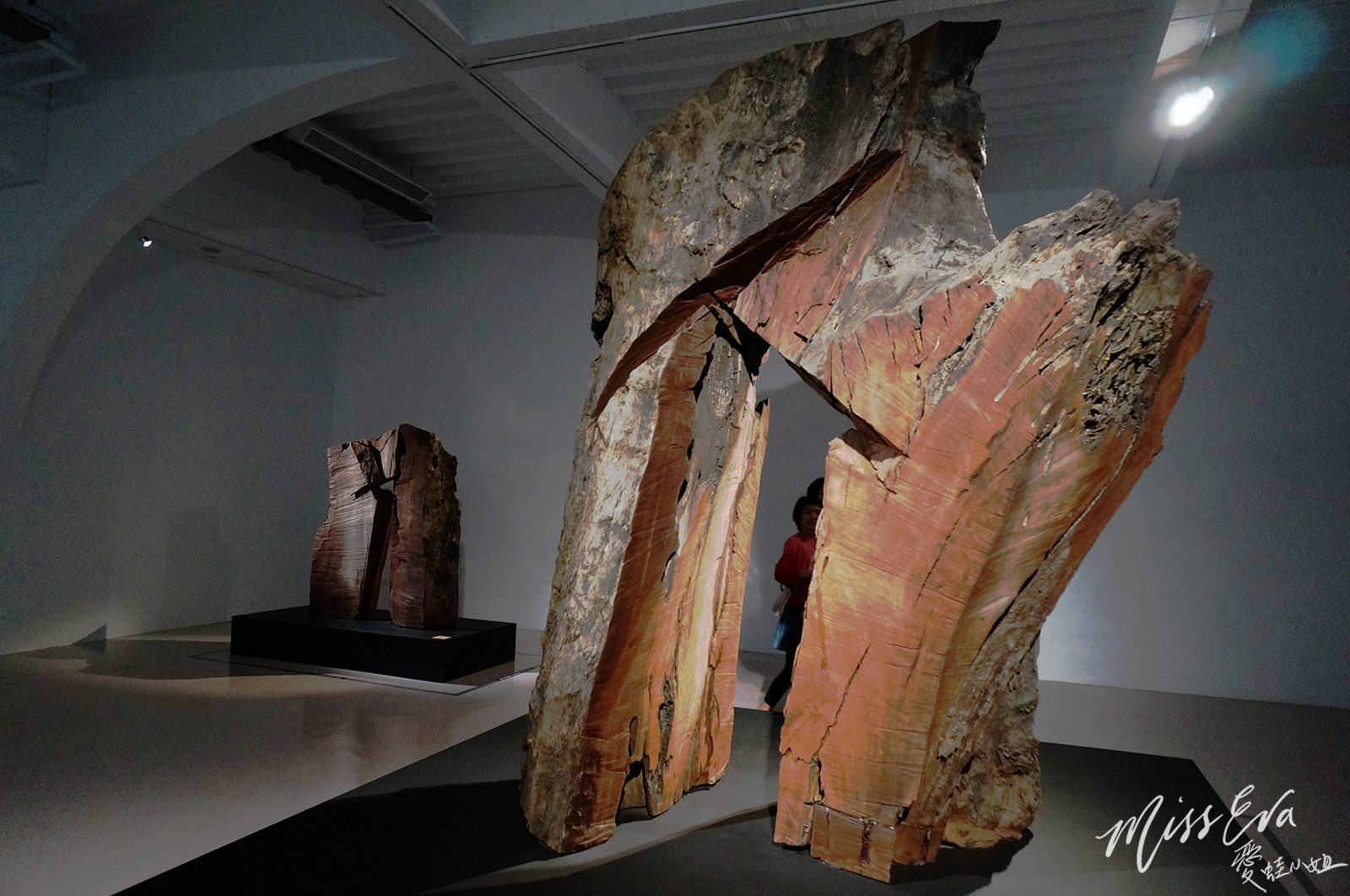 DSC02748_1.jpg DSC02748_1.jpg