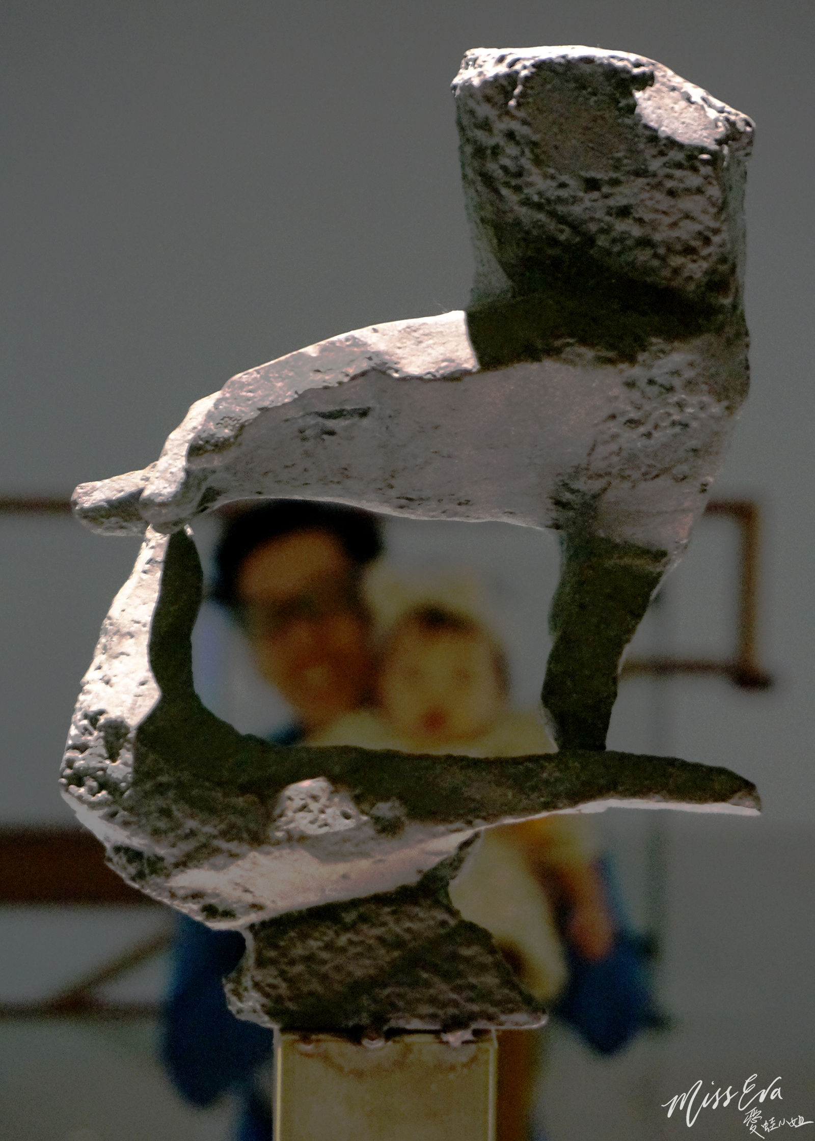 DSC02733_1.jpg DSC02733_1.jpg