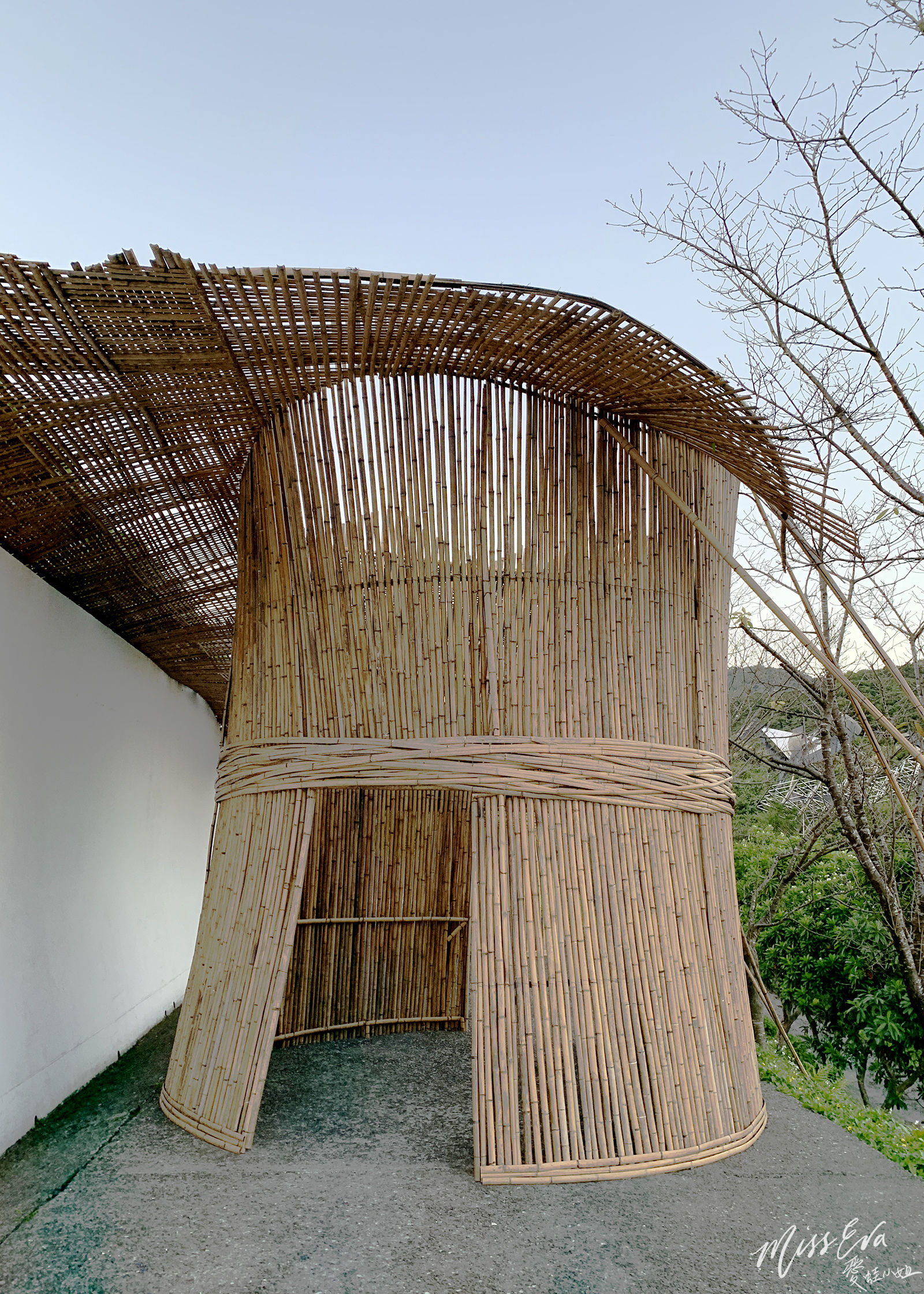 IMG_9765_1.jpg IMG_9765_1.jpg