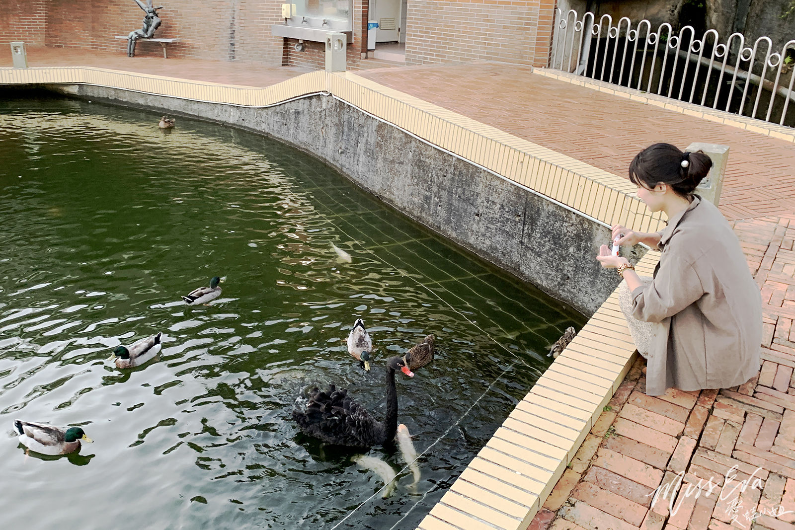 IMG_9781_1.jpg IMG_9781_1.jpg