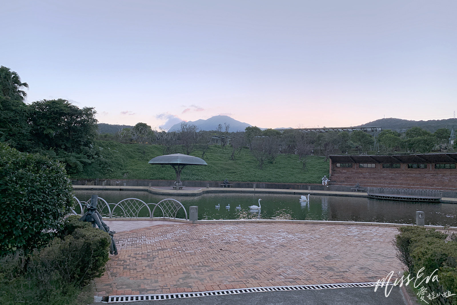 IMG_9770_1.jpg IMG_9770_1.jpg