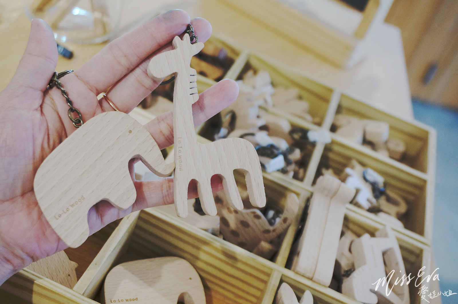 DSC02664_1.jpg DSC02664_1.jpg