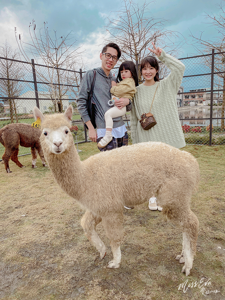 天使星夢渡假村_草泥馬-2.jpg 天使星夢渡假村_草泥馬-2.jpg