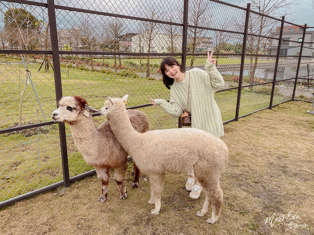 天使星夢渡假村_草泥馬-1.jpg 天使星夢渡假村_草泥馬-1.jpg