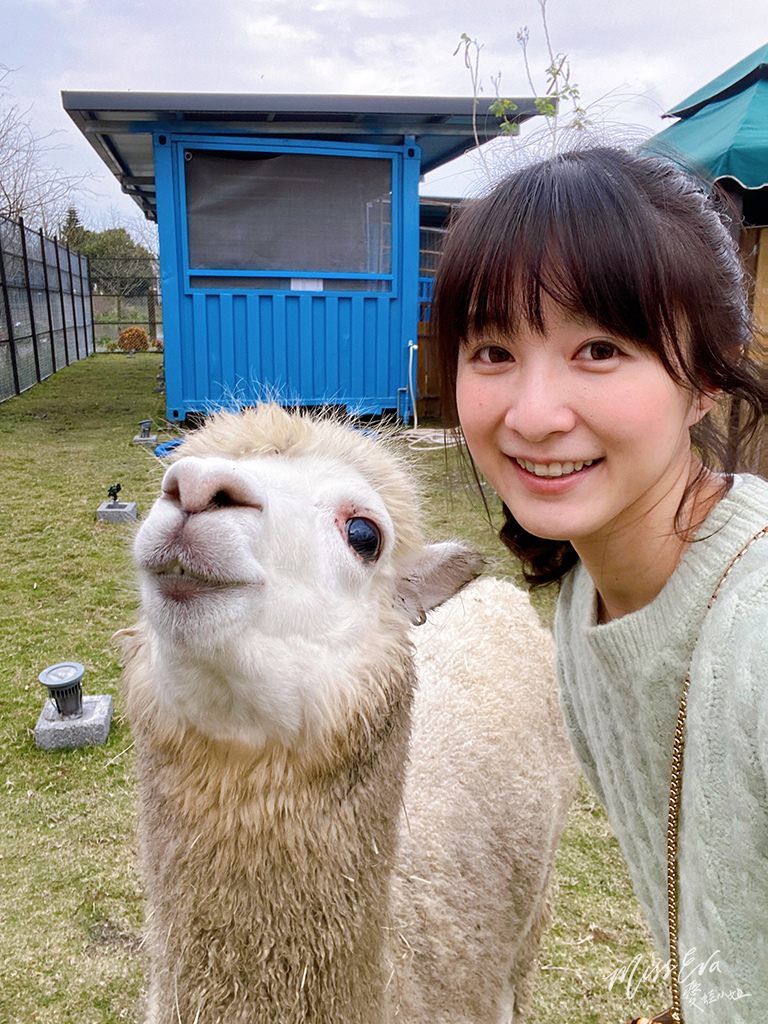 天使星夢渡假村_草泥馬-4.jpg 天使星夢渡假村_草泥馬-4.jpg