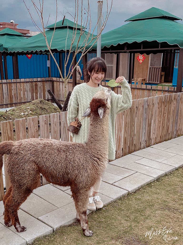 天使星夢渡假村_草泥馬-6.jpg 天使星夢渡假村_草泥馬-6.jpg