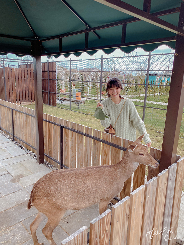 天使星夢渡假村_梅花鹿-4.jpg 天使星夢渡假村_梅花鹿-4.jpg