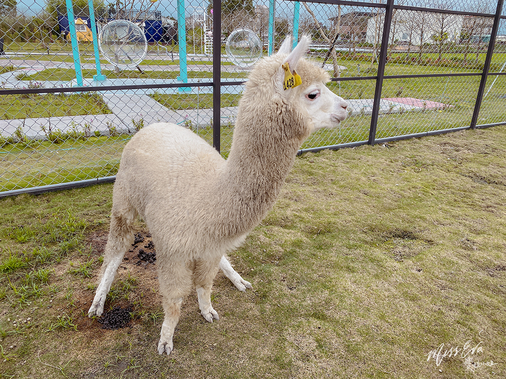 天使星夢渡假村_草泥馬-7.jpg 天使星夢渡假村_草泥馬-7.jpg
