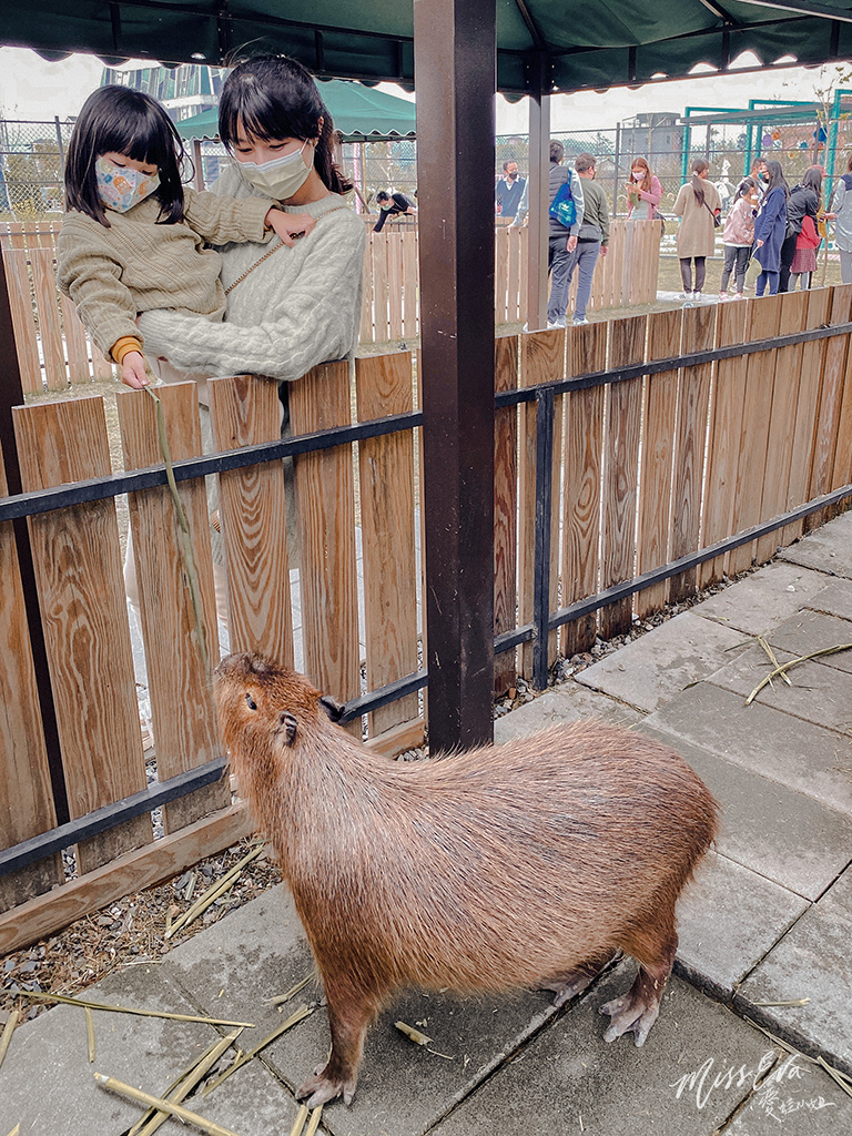 天使星夢渡假村_水豚君-6.jpg 天使星夢渡假村_水豚君-6.jpg