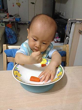 試用Baby Diner Dish Holder