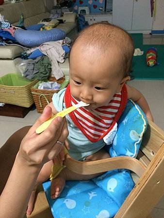 8m20d雞肉泥 8m20d雞肉泥