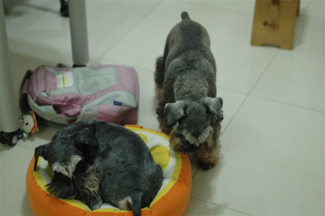 DSC_0275.JPG DSC_0275.JPG