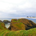 Carrick-a-Rede Rope Bridge.JPG