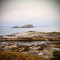 Ballintoy (Pyke) Harbour