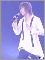 186253120.gif