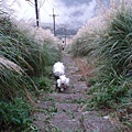 登山步道