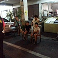 20130806_203421.jpg
