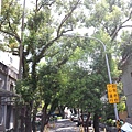 20140629_103836