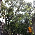 20140629_103837