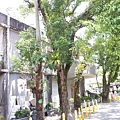 20140629_103851