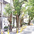 20140629_103853
