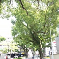 20140629_103923