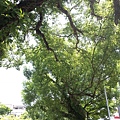 20140629_103926
