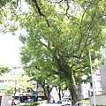 20140629_103928