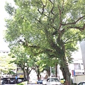 20140629_103945