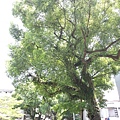 20140629_103948