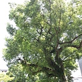20140629_103949