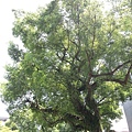 20140629_103951