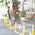 20140629_104141