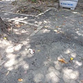 20140629_104146