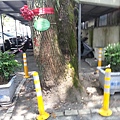 20140629_104153