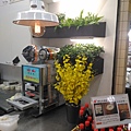 P_20171116_152438.jpg