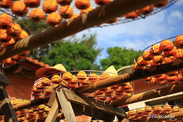 IMG_8618.JPG IMG_8618.JPG