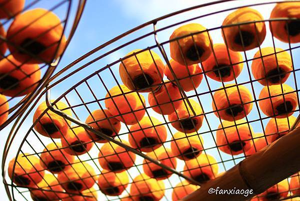 IMG_8677.JPG IMG_8677.JPG