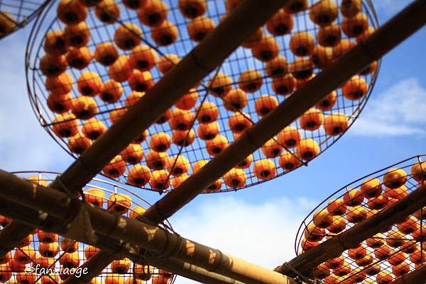 IMG_8669.JPG IMG_8669.JPG