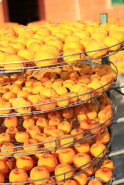 IMG_8697.JPG IMG_8697.JPG