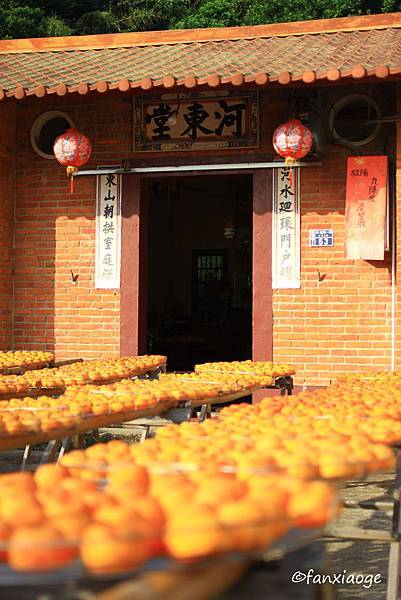 IMG_8692.JPG IMG_8692.JPG