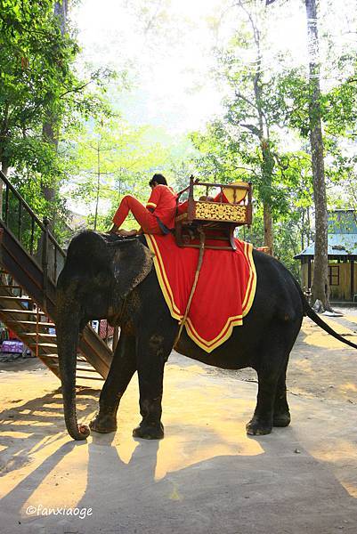 _MG_8526.JPG _MG_8526.JPG