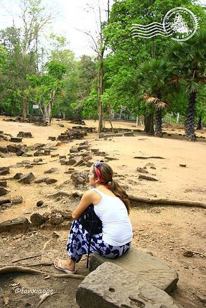 _MG_8900.JPG _MG_8900.JPG