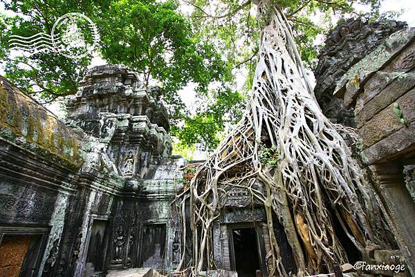 _MG_9716.JPG _MG_9716.JPG