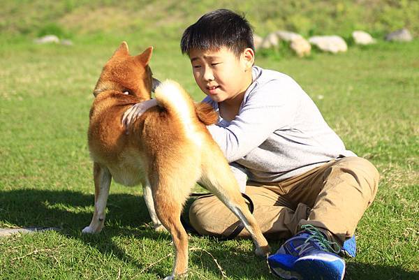 公園遛狗.jpg 公園遛狗.jpg