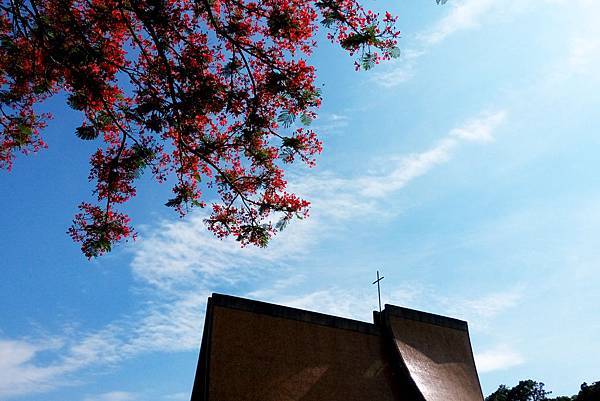 東海大學2.jpg 東海大學2.jpg