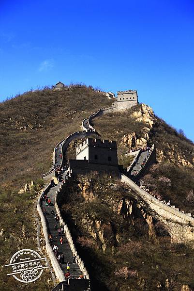 IMG_9110.JPG IMG_9110.JPG