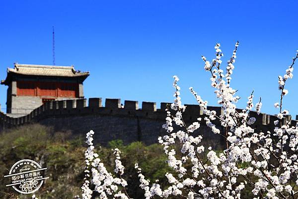 IMG_9251.JPG IMG_9251.JPG