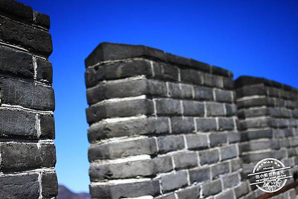 IMG_9318.JPG IMG_9318.JPG